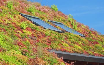 Odsal living roof systems